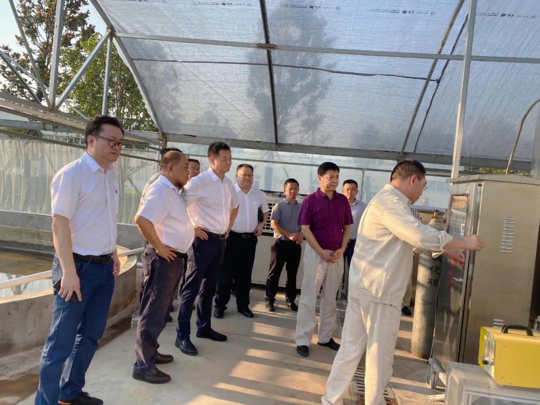 艾詩特蝦青素 艾詩特蝦青素