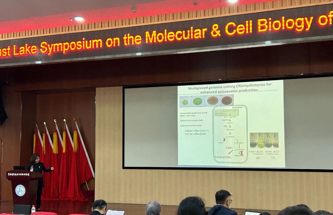 艾詩(shī)特蝦青素