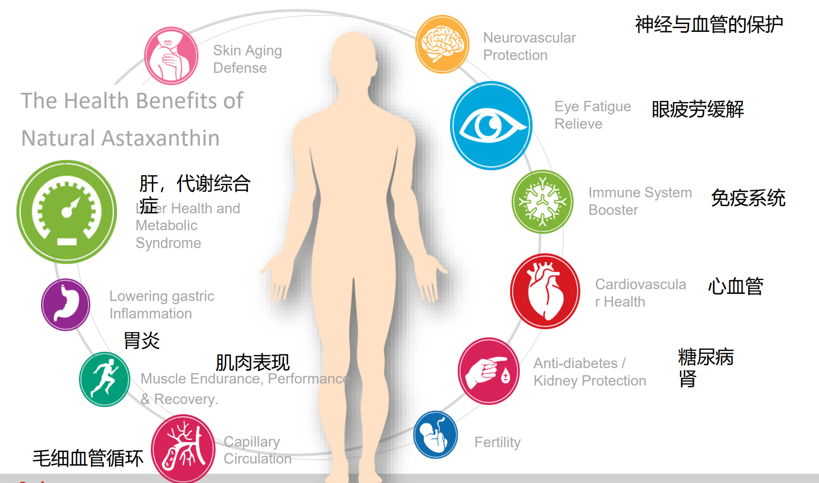 艾詩(shī)特蝦青素