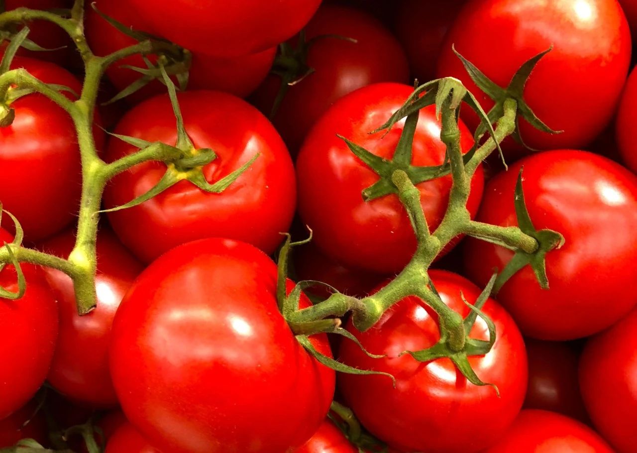 艾詩(shī)特蝦青素