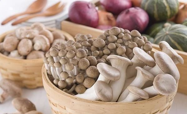 艾詩(shī)特蝦青素