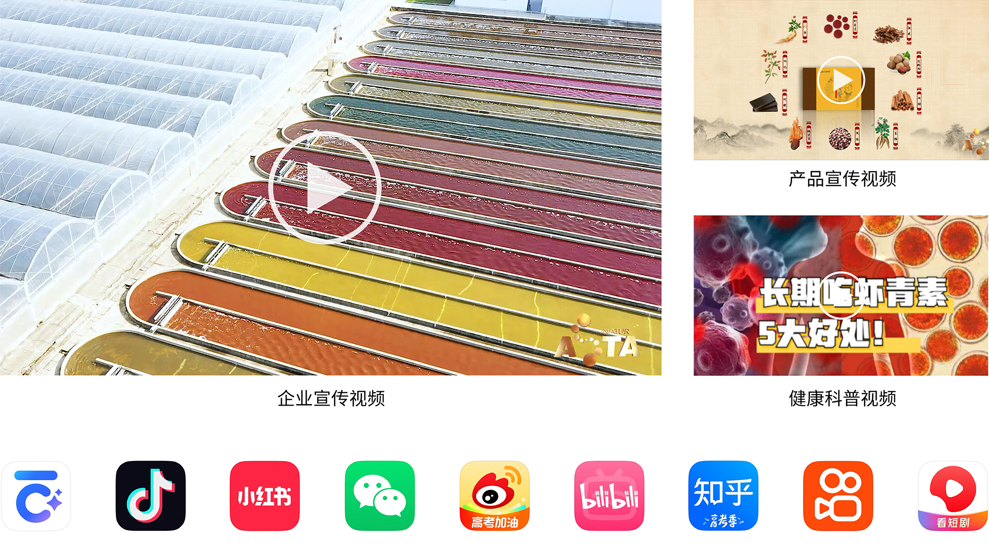 艾詩特蝦青素 艾詩特蝦青素