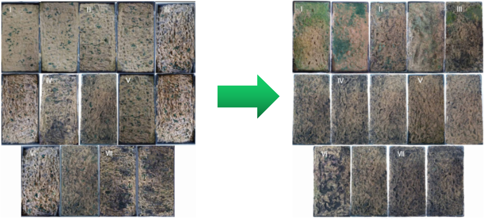 艾詩(shī)特蝦青素