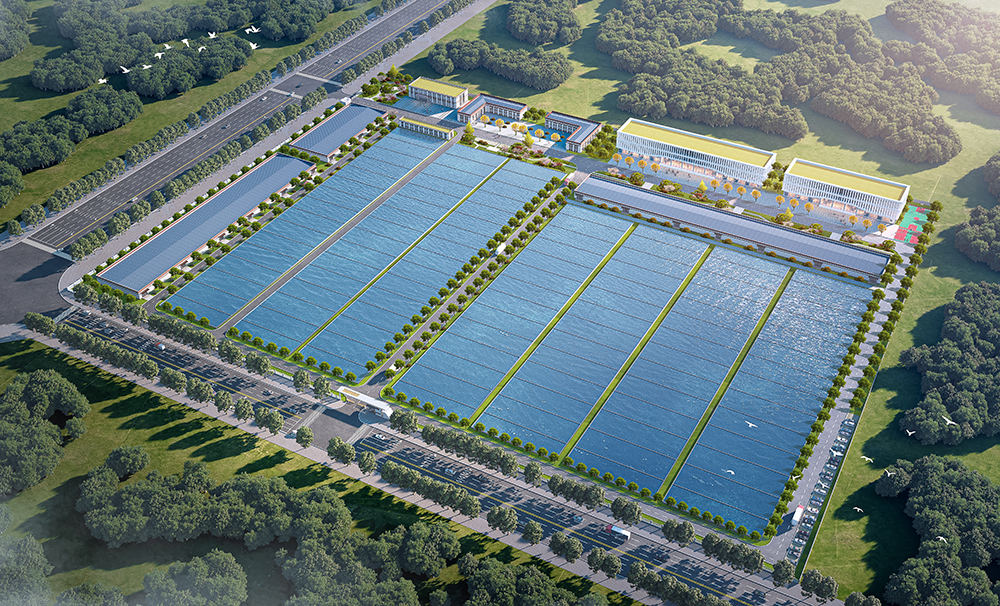 艾詩(shī)特蝦青素 艾詩(shī)特蝦青素