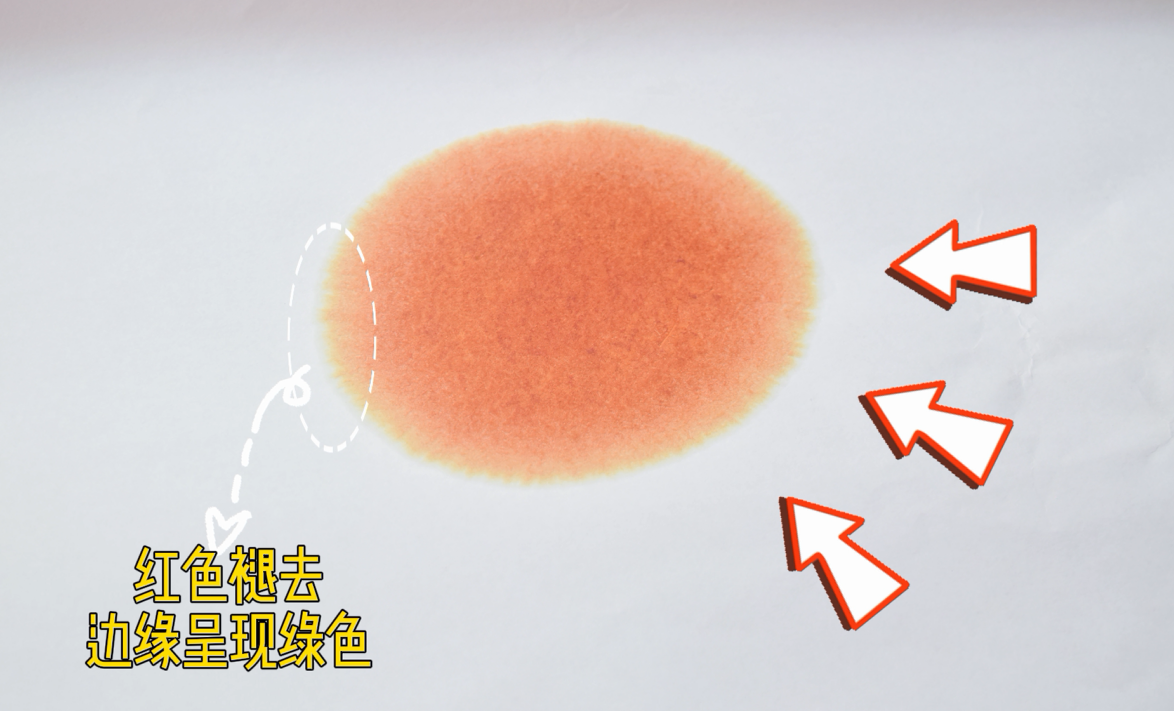 艾詩(shī)特蝦青素