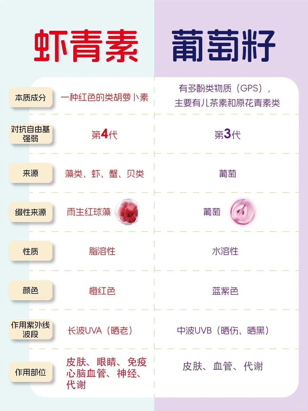 艾詩(shī)特蝦青素