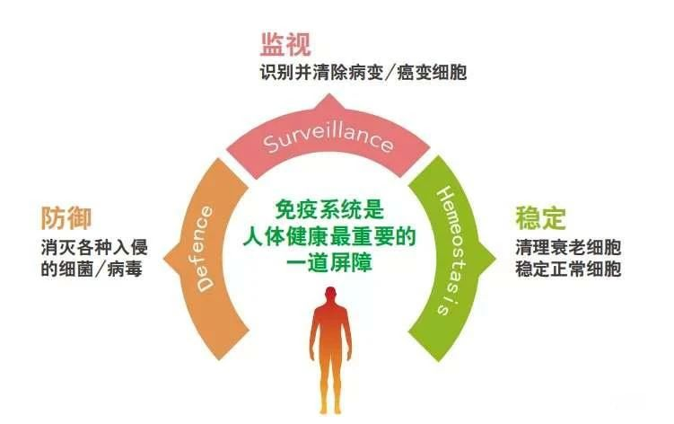 艾詩(shī)特蝦青素