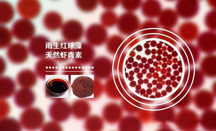 艾詩(shī)特蝦青素