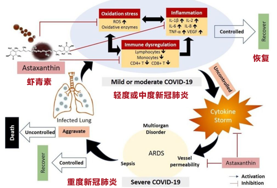 艾詩特蝦青素 艾詩特蝦青素
