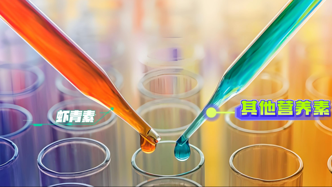 艾詩特蝦青素 艾詩特蝦青素