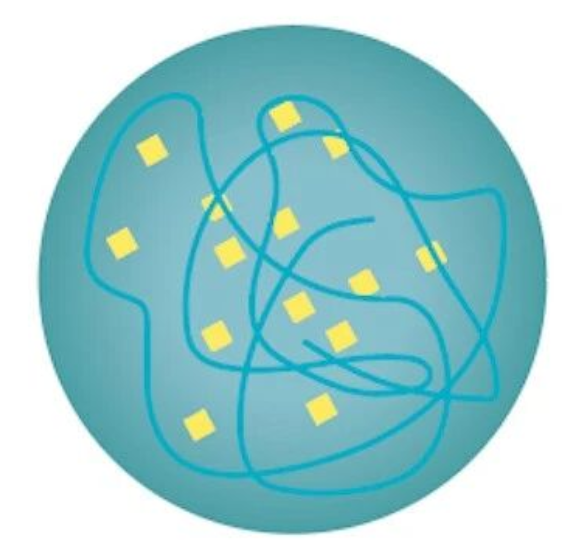 艾詩特蝦青素 艾詩特蝦青素