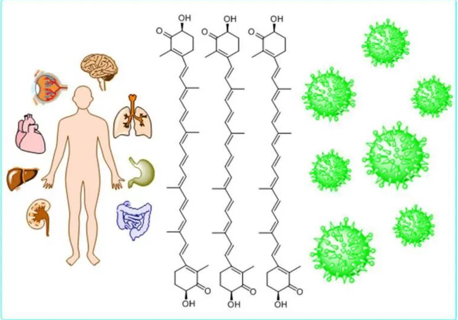 艾詩特蝦青素 艾詩特蝦青素
