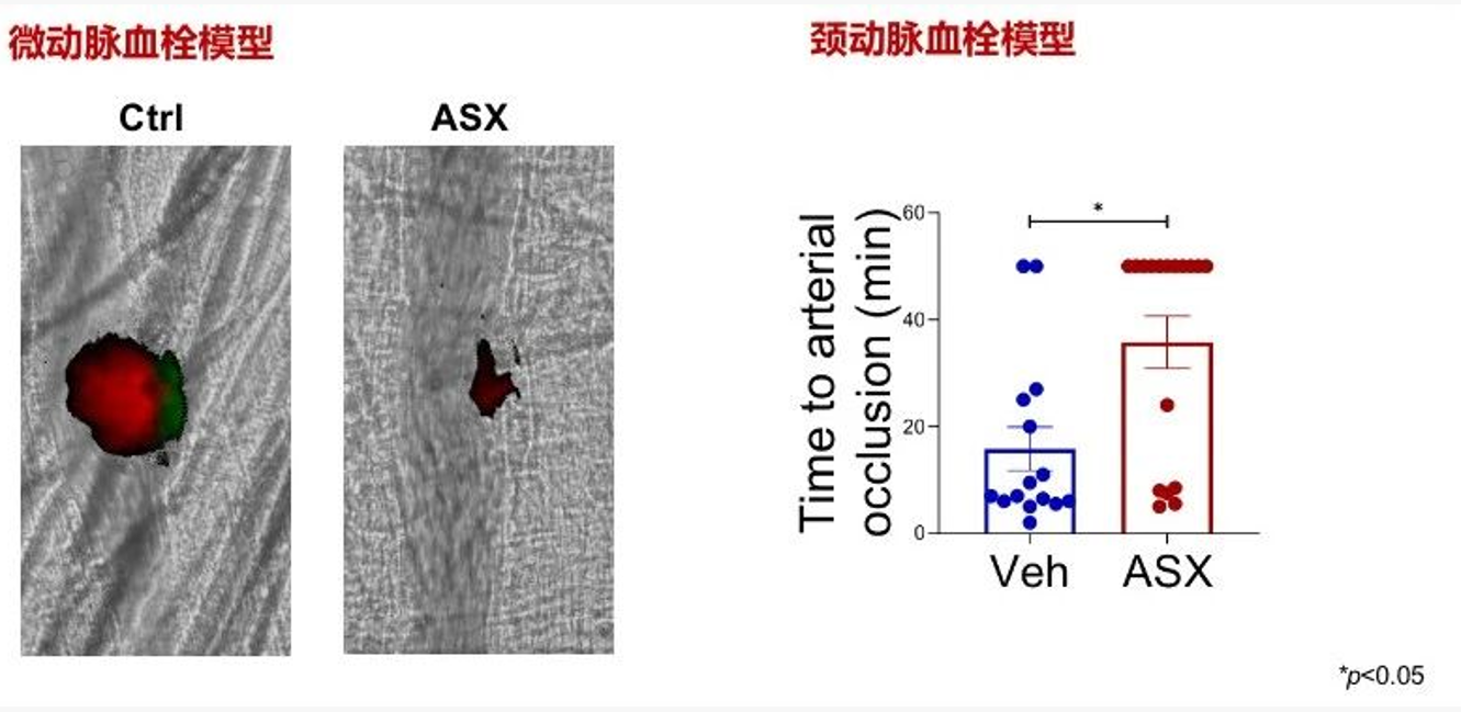艾詩特蝦青素 艾詩特蝦青素