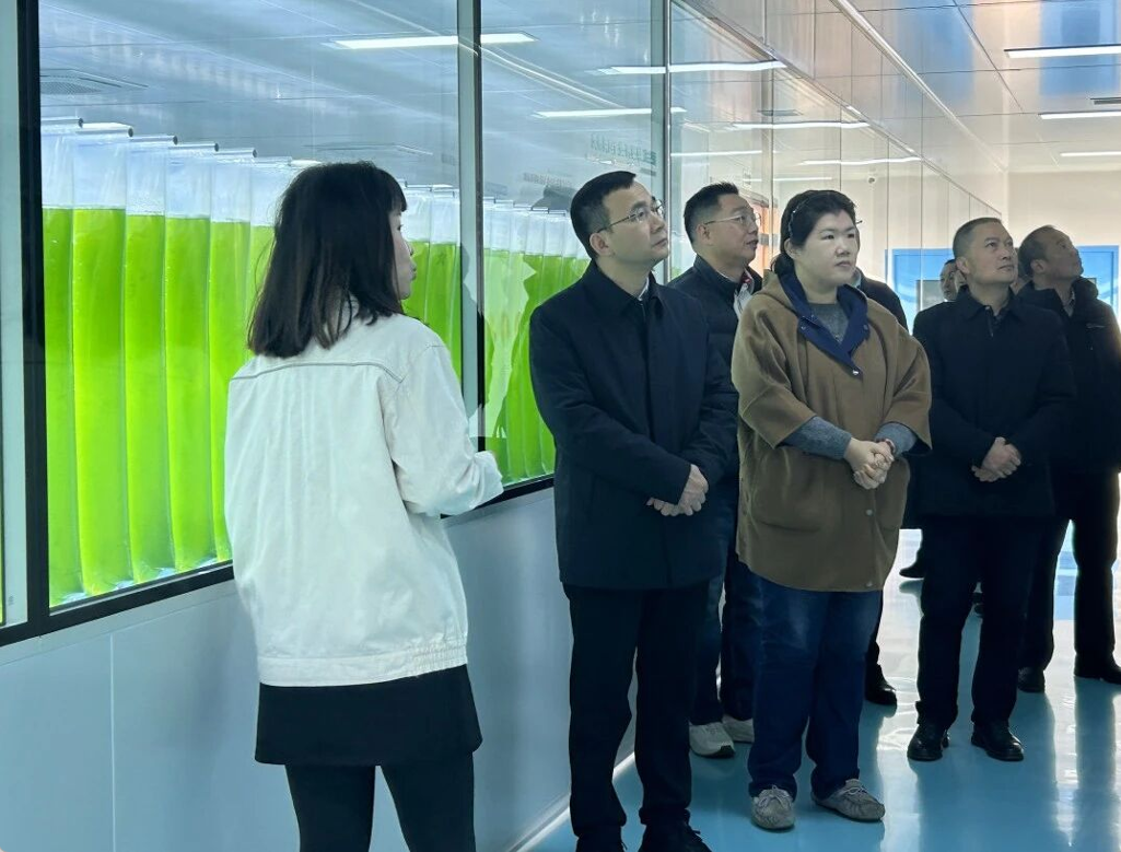 艾詩(shī)特蝦青素 艾詩(shī)特蝦青素