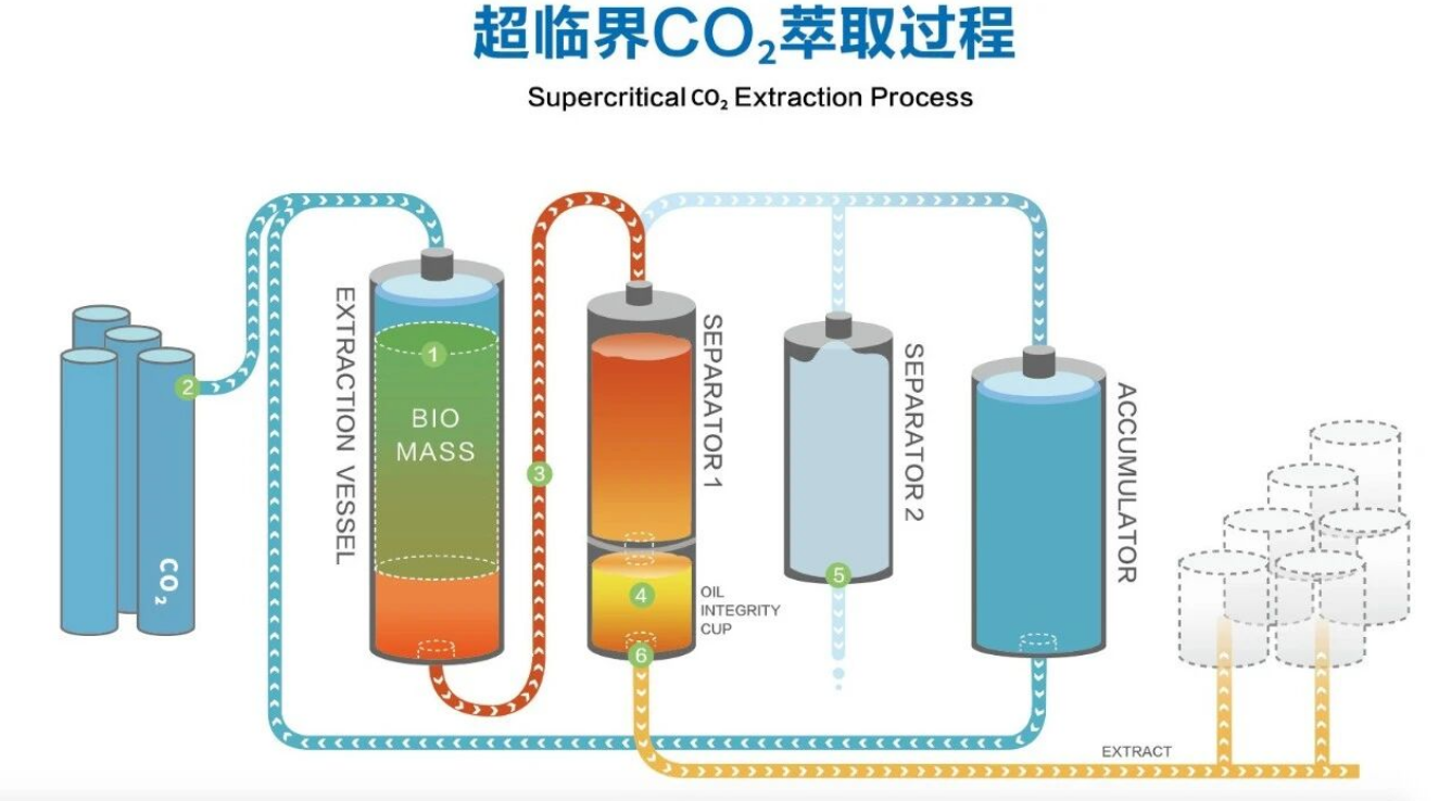 艾詩(shī)特蝦青素