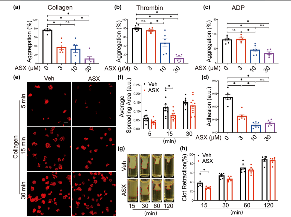 艾詩特蝦青素 艾詩特蝦青素