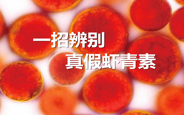 【實驗】手把手教你，一招辨別真假蝦青素！