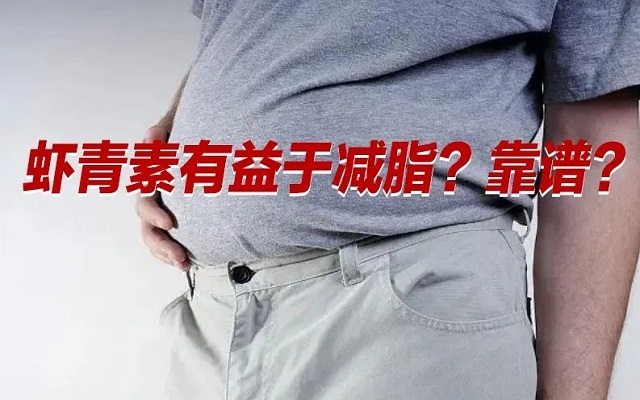 【冷知識】肥胖居然是一種炎癥！蝦青素有益于“消炎”？