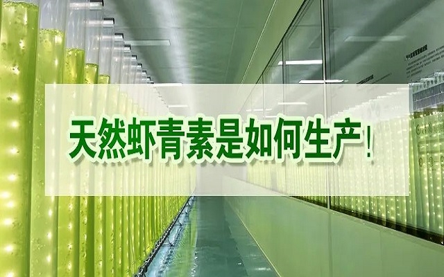 天然蝦青素是如何生產(chǎn)？走進(jìn)源頭工廠看一看！